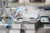 Aluminum Foil Plastic Bottle Engine Oil Jerrycan Cap Lining Wadding Inserting Machine Price