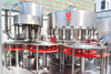 Automatic Rotary 2 in 1 Small Pet Plastic Bottle Food Sunflower Cooking Oil Filling Capping Machine