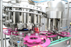 Automatic Small Bottle Rotary Honey Mushroom Chilli Tomato Fish Salad Dressing Sauce Filling Machine