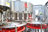 Automatic Rotary Small Pet Bottle Sunflower Seed Press Olive Oil Filling Capping Machine