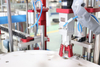 Automatic Piston 10ml Eyes Drop Oral Liquid Essential Perfume Oil Dropper Bottle Filler Filling And Sealing Machine