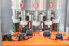 Can Filling Machine for Beverage Food Advanced Technology for Smooth 200ml Incl. Motor Pump PLC for Beer