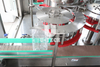Automatic Sunflower Olive Vegetable Coconut Edible Cooking 5L PET Bottle Oil Filling Capping Machine Price Plant