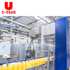Small Bottled Coconut Water Banana Fruit Juice Making Filling And Capping Machine Production Line Prices