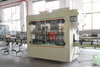 Automatic Disinfectant Cleanser Essence Toilet Detergent Corrosive Liquid Linear Filling Capping Labeling Packing Machine Line