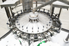 Fully Automatic Production Line Mango Avocado Strawberry Pomegranate Blueberry Dragon Fruit Juice Bottling Machine Plant
