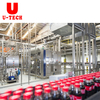 Automatic 3 in 1 Pet Bottle Gas Water Co2 Carbonated Soft Drink Beer Making Filling And Capping Labeling Machine