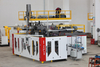 3-Cavity HDPE PE Bottle Double Station Extrusion Blow Molding Machine with Robot