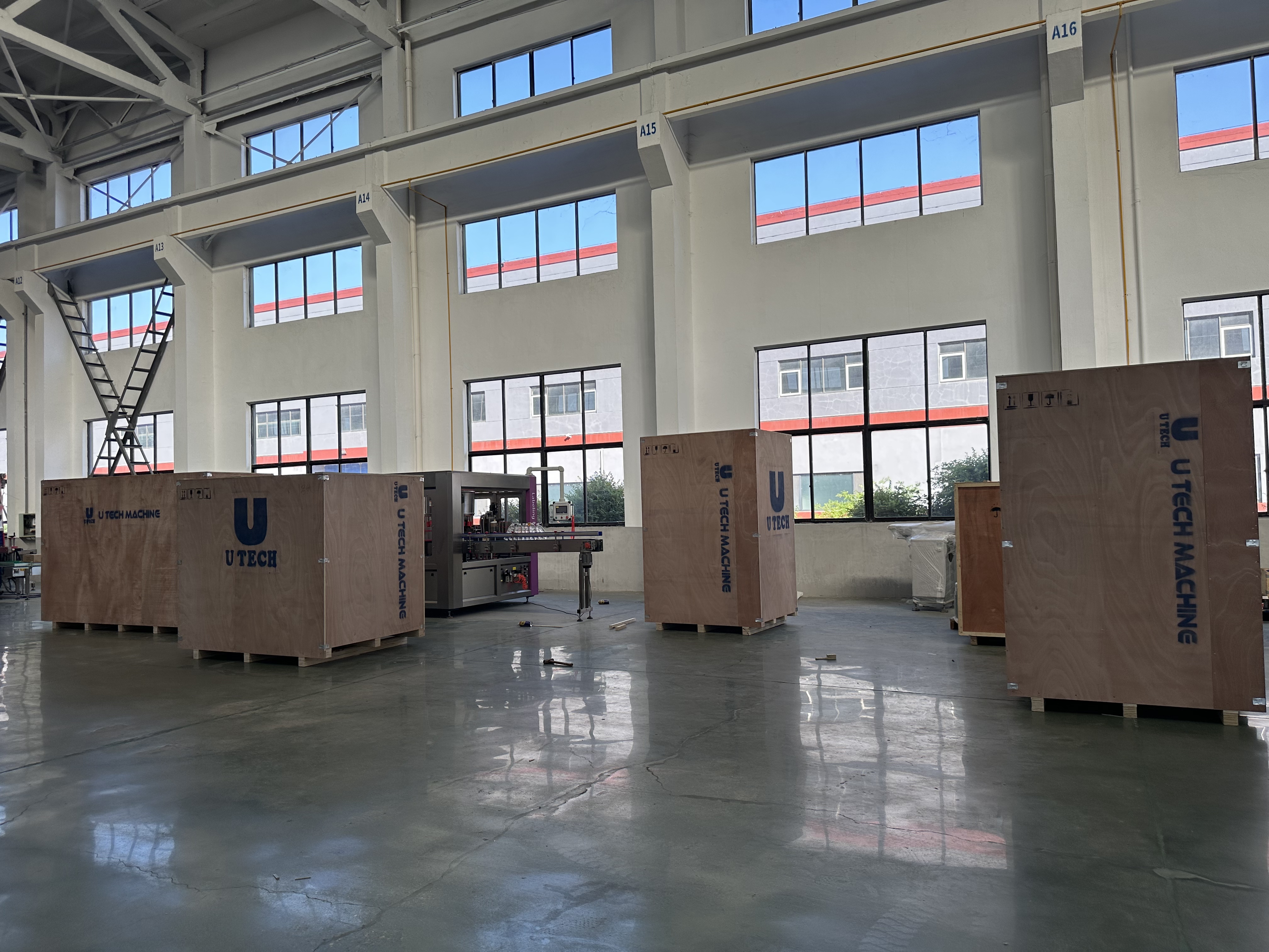 Linear Piston Filling Machine Line Send To Cameroon